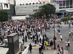 -涩谷全向十字路口