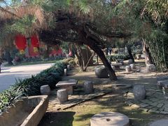 -户县老龙窝酒厂