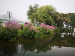 -金银湖国家城市湿地公园