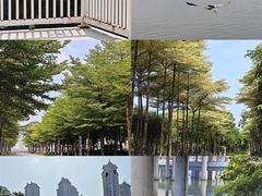 -厦门园林博览苑
