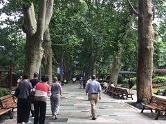 -静安公园(静安寺街道)