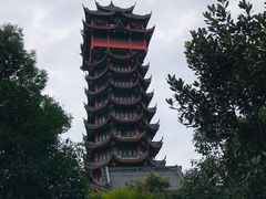 -塔子山公园