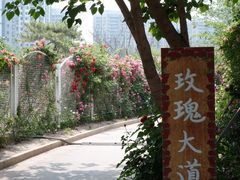 -太阳宫公园