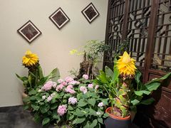 -鸢飞潍坊菜馆(鸢飞大酒店)