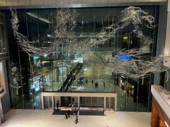 -深圳湾万象城(南山店)