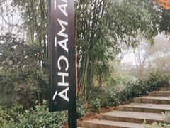 -MAMACHA妈妈茶(岳麓山店)