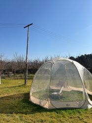 -DORA kids 朵拉儿童摄影花园店