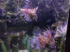 -太平洋海底世界