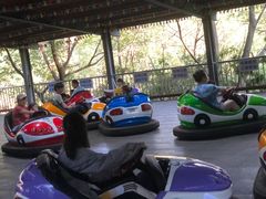 -杭州少年儿童公园