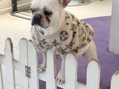 -怪兽屋·羊驼·猫咖·狗咖(俊华广场店)