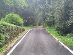 -素山寺森林公园