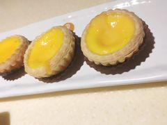 酥皮蛋挞-龙记烧腊茶餐厅(常德路店)