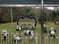-黔灵山公园