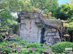 -红梅公园