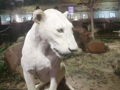 -陕西自然博物馆