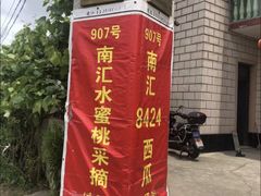 -南汇水蜜桃采摘(大团店)