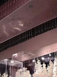 -明典婚礼策划·婚车租赁·婚纱摄影