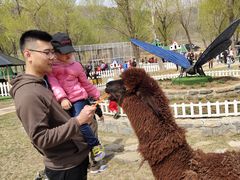 -大连铭湖国际观光牧场