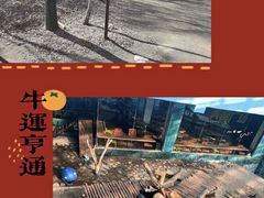 -沈阳森林动物园