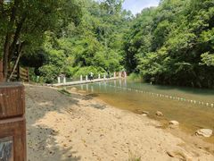 -广州白江湖森林公园