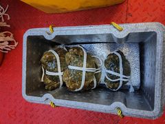 -蟹天蟹地农家菜·阳澄湖大闸蟹(浅水湾店)