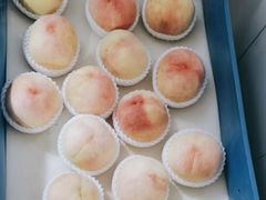 -老袁家蜜桃农场·阳山水蜜桃