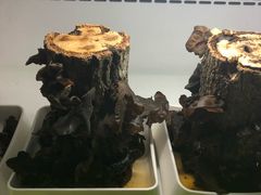 鲜活木耳-番食园鲜食火锅(高新店)