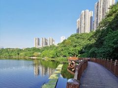 -重庆彩云湖湿地公园