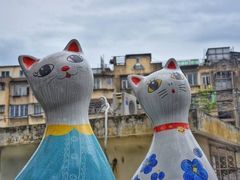 -猫咪博物馆(顶澳仔猫街店)