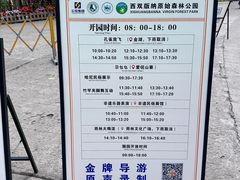 -西双版纳原始森林公园