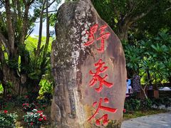 -野象谷景区