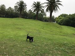 -美兰湖景区