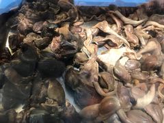 鹅肝、鹅腱-鹅村长扬州老鹅(东关街店)