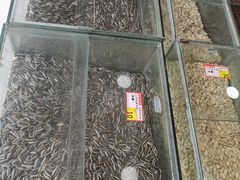 -刘艳明炒货(小心桥店)