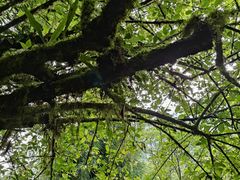 -西岭雪山大飞水景区