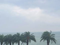 -野狸岛