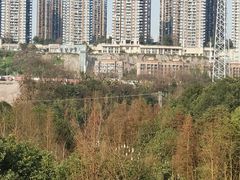 -重庆彩云湖湿地公园