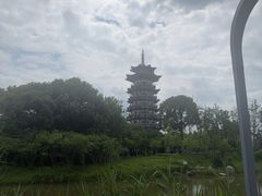 -洋湖国家湿地公园