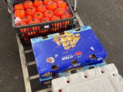 -西郊国际农产品交易中心