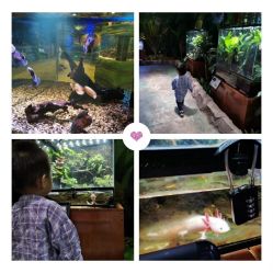 点击看大图 -酷嗒动物文化乐园(cutezoo西溪乐天城店)