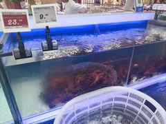 -大润发(张江店)