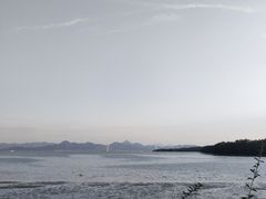 -深圳湾公园(南山区)
