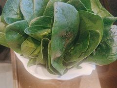 -南门四季铜锅涮肉(大屯·北苑店)