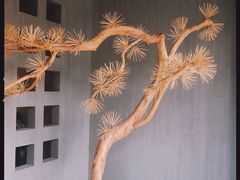 -春熙台韩国料理·章鱼肥牛(西丽店)