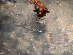 -Oh My Dog宠物沙龙(伊珊娜皮毛护理店)