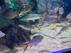 -太平洋海底世界