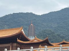 -深圳仙湖植物园