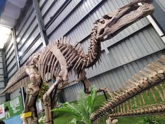 -诸城市恐龙博物馆