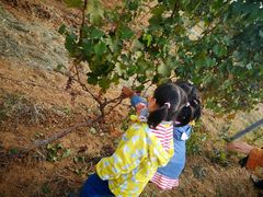 -丹世红酒庄·烧烤·团建·婚礼·水上运动