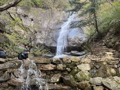 -王顺山国家森林公园